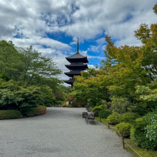 Kyoto City Minami Ward Corporate Cleaning