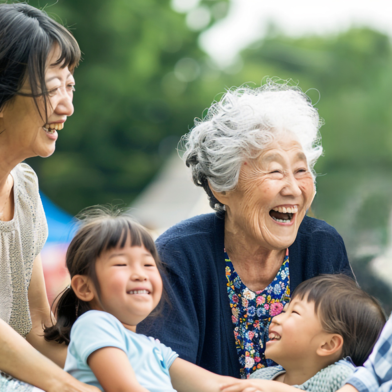 京都で５０年の実績