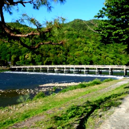 嵐山・嵯峨野 法人様クリーニング