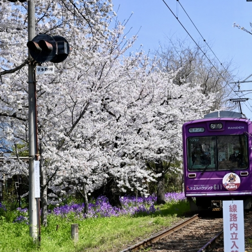 京都市 右京区 法人様クリーニング