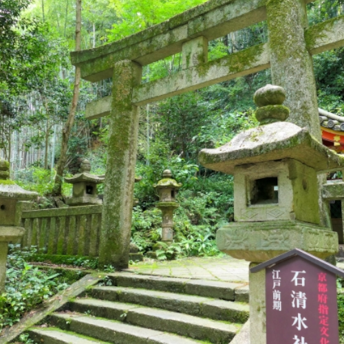 京都府 八幡市 法人様クリーニング