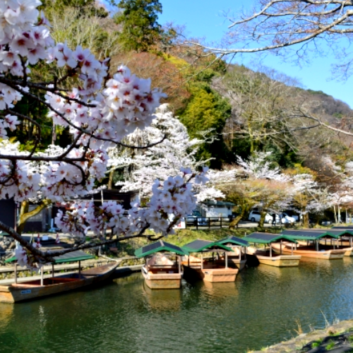 京都市　西京区