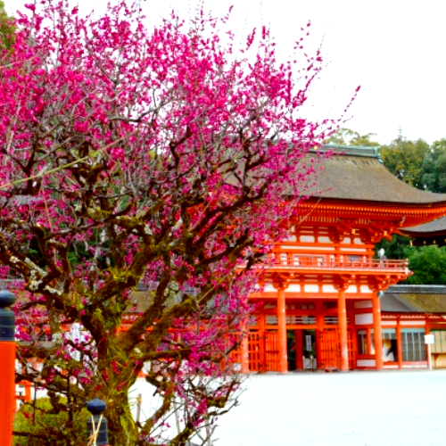 京都市　左京区